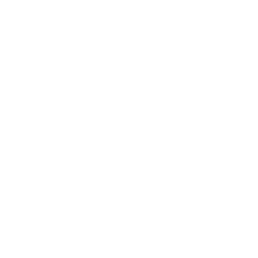 steam icon